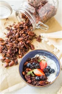 Keto Ninja Foodi Chicken Recipes